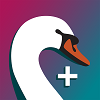 SWAN Libraries+ app- square with pink- purple-teal gradient with image of a white Swan in center